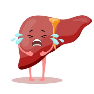 Fatty Liver Impacts Women’s Health