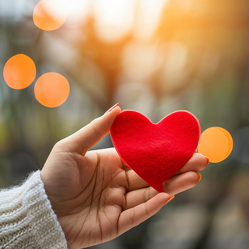 CT Coronary Angiography in dehradun