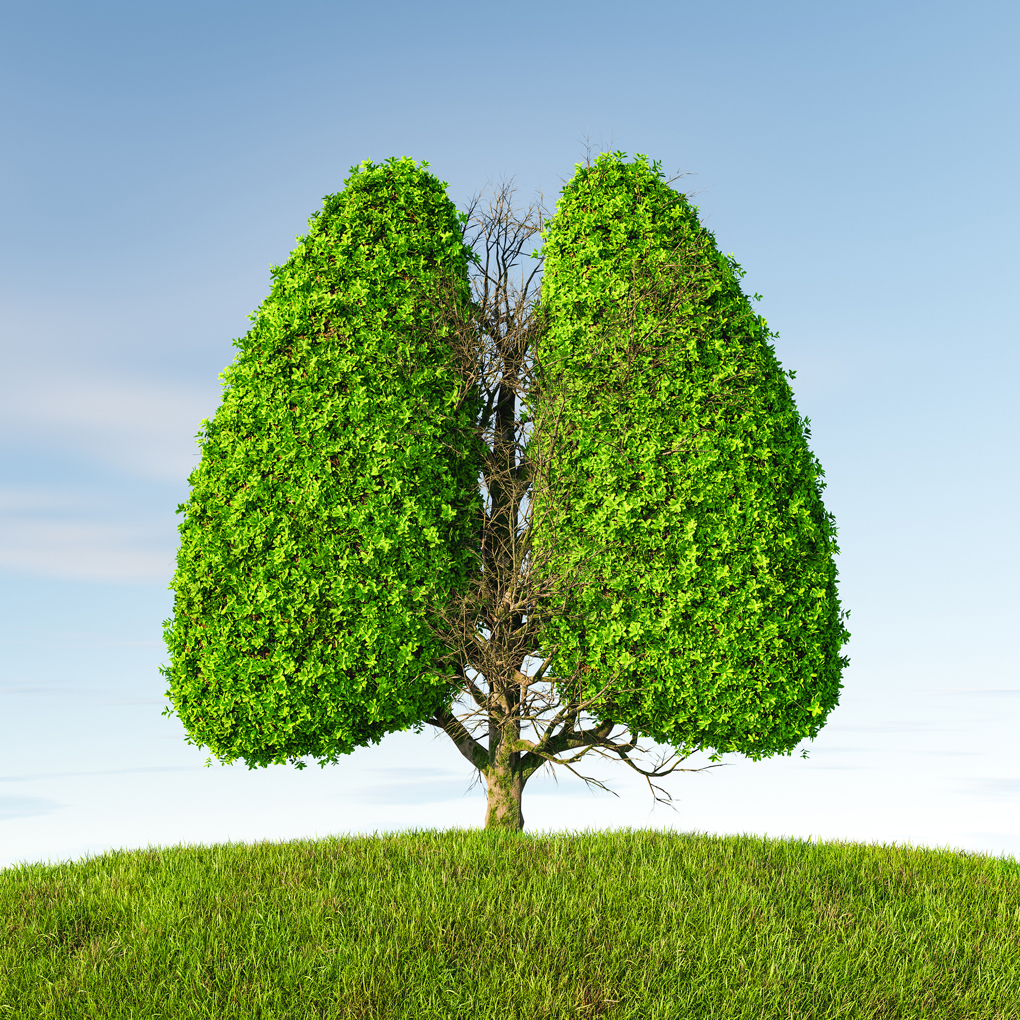 Low-Dose CT Scan for Lung Screening